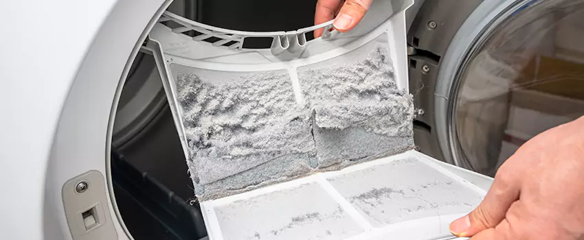 Best Dryer Lint Removal Company in Horizon City, Texas